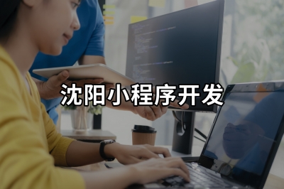 幾百元的小程序值不值得做？